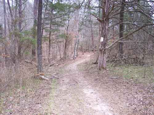 Taylor Pond Trail